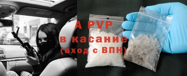 индика Струнино