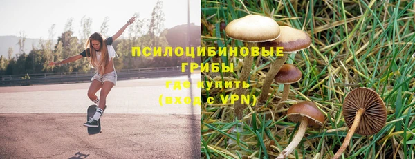 синтетический гашиш Няндома