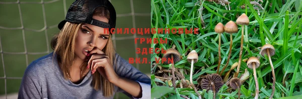 дурь Нягань