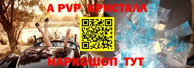 СК Гусев