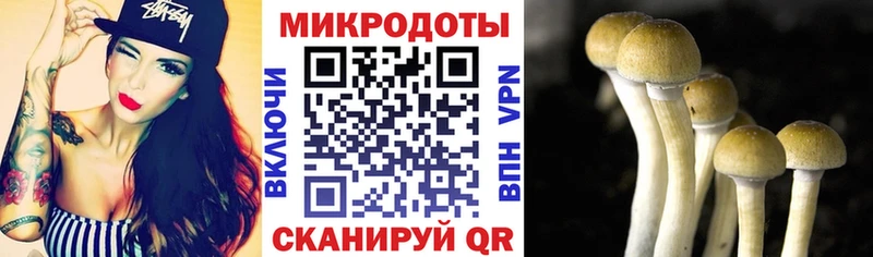 Галлюциногенные грибы мицелий  Карпинск 