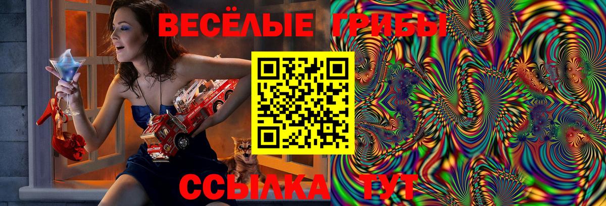 Псилоцибиновые грибы Psilocybine cubensis Карпинск