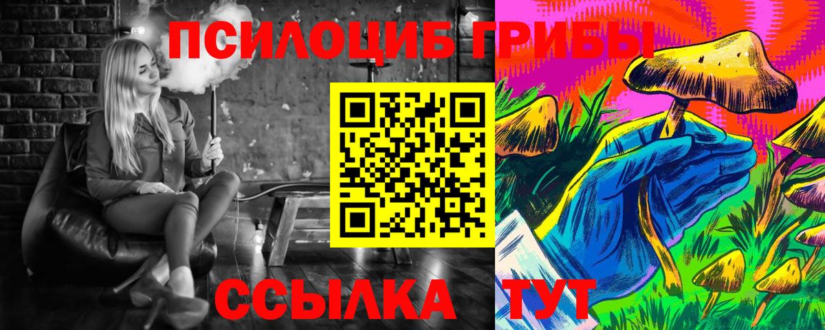 Карпинск  Галлюциногенные грибы Cubensis  Вход с VPN 